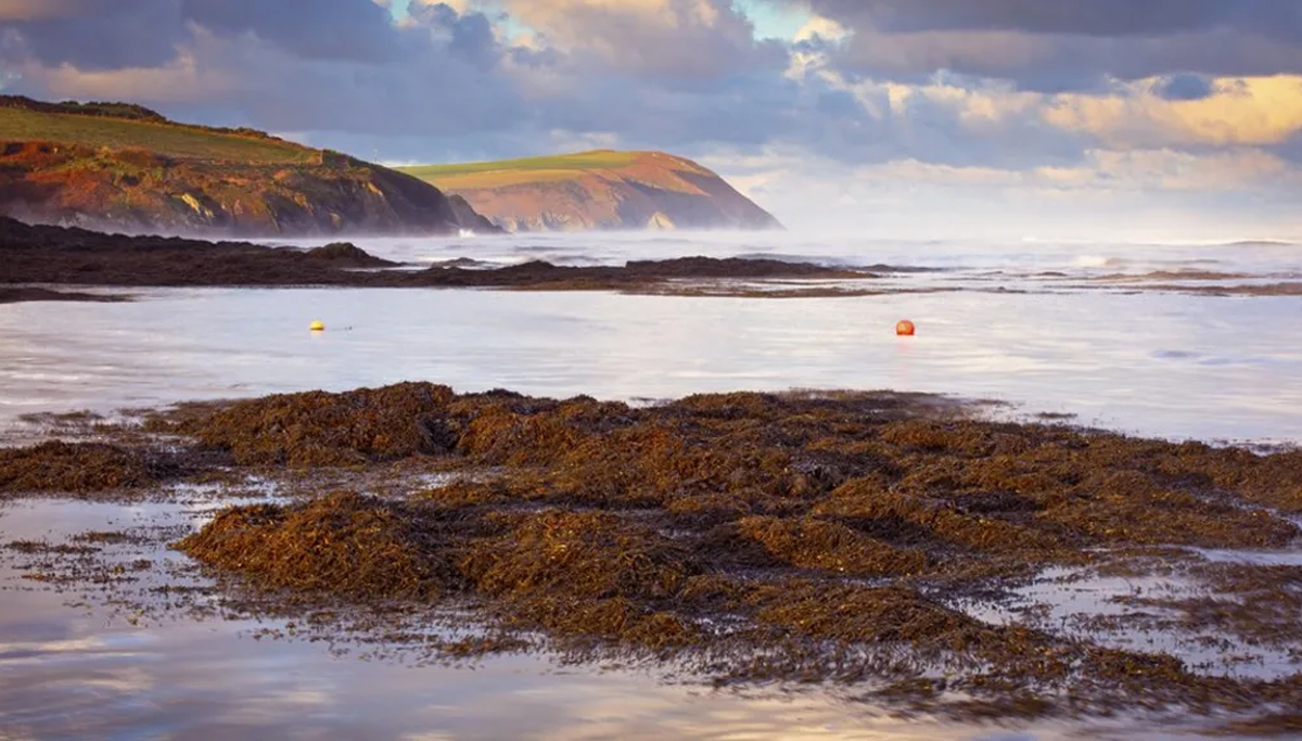 pays-de-galles-8-baie-de-Cardigan-